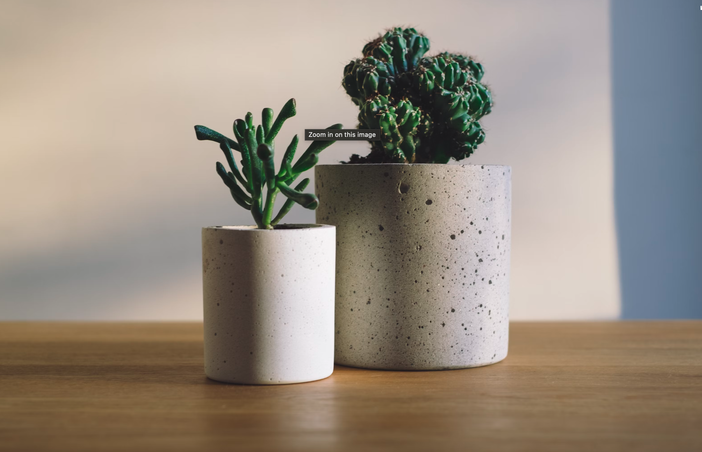 Improve Recycling Center Efficiency image 2