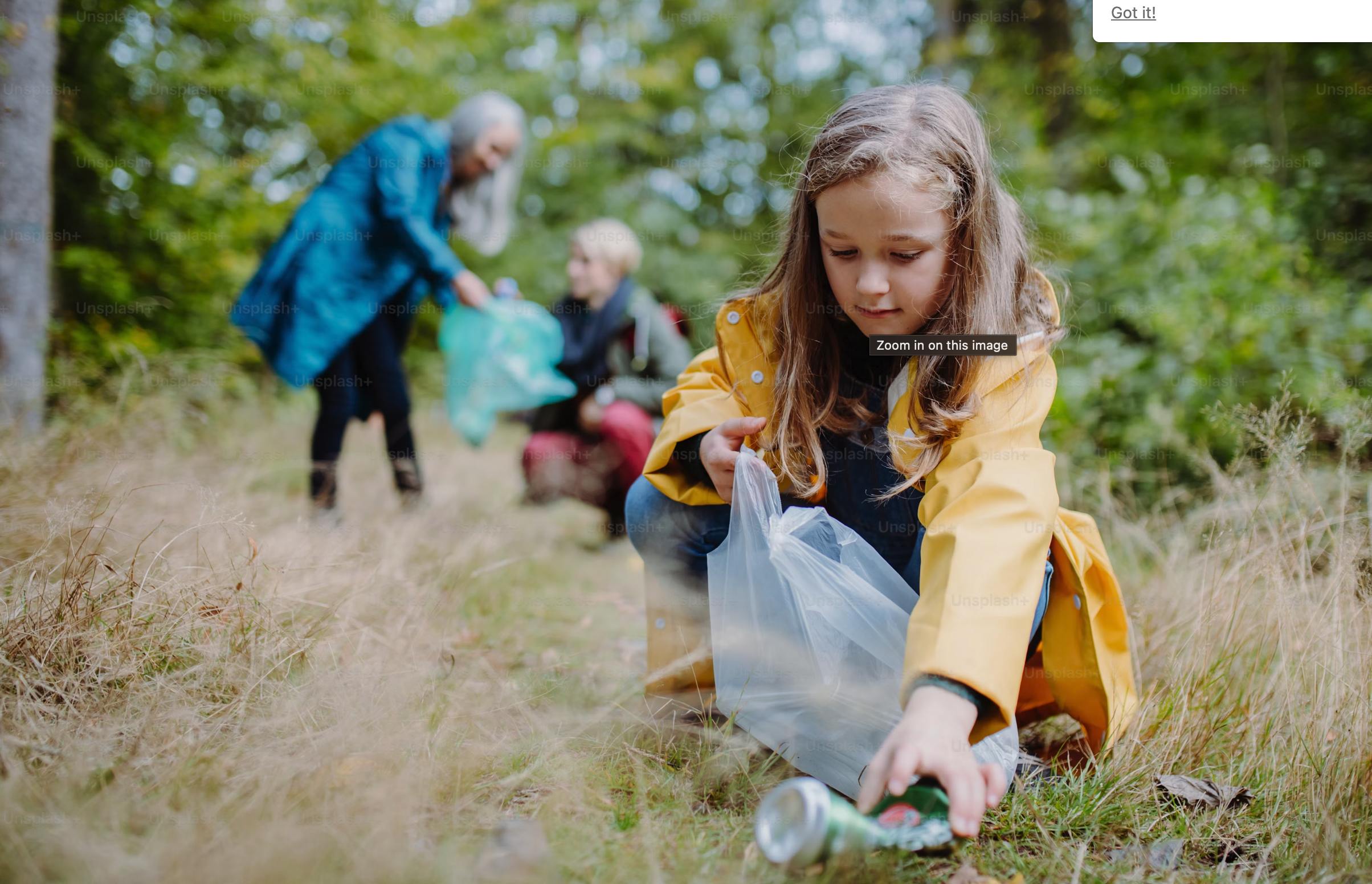 Improve Recycling Center Efficiency image 4